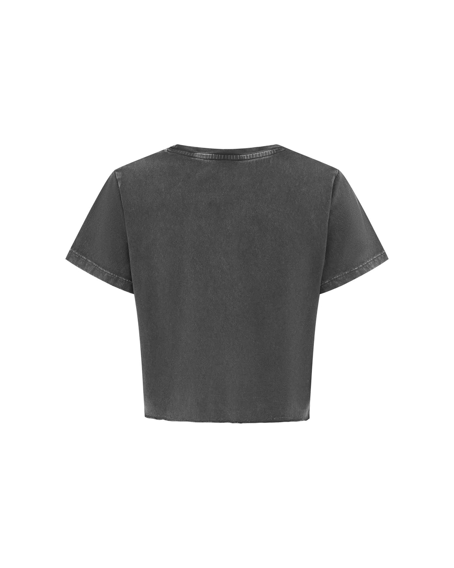 INC235_CES_4_1745296793